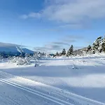 Stylish In Scenic *